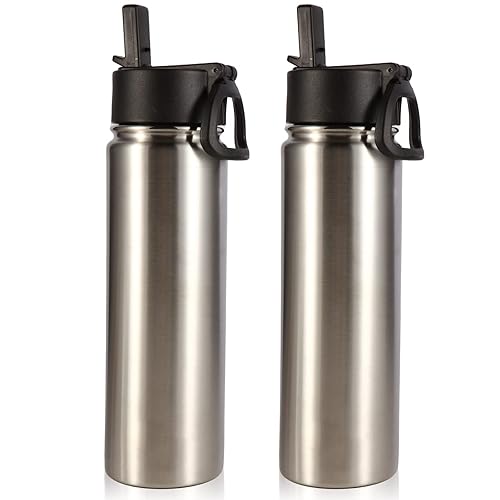 Volhoply Insulated Water Bottles with Straw Bulk 2 Pack  22 oz Stainless Steel Sports Bottle with Handle Lid  Double Walled Vacuum Metal Thermos Cup  Reusable Cold Water Flask for Hiking(Silver 2 Set)