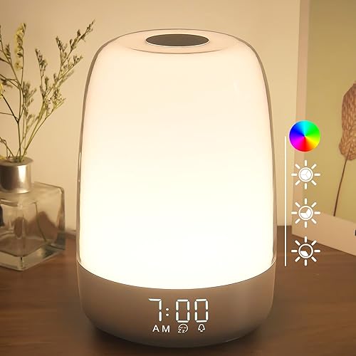 winshine Touch Wake Up Night Light with Sunrise Simulation Alarm Clock  3 Ways Dimmable Warm White Bedside Lamp for Kid Bedrooms RGB Ambient Table Nightstand Light Sleep Aid Snooze Timer Mode