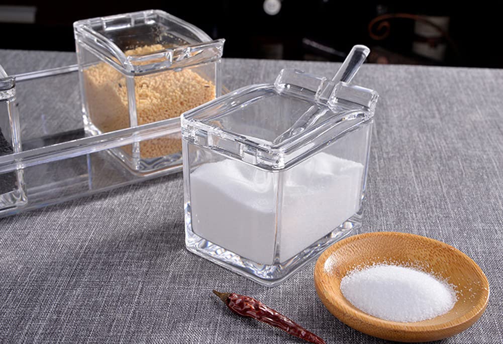 Loyuyu Seasoning Box, Seasoning Rack Spice Pots, Storage Container Condiment Jars, 4 Piece Clear Acrylic Cruet With Cover And Sp