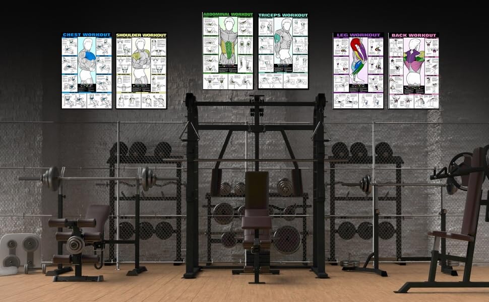 Pixelartz Paper Wall Poster Motivational Workout And Exercises Illustrations Bodybuilding Gym Posters Hd Quality Posters For Hom