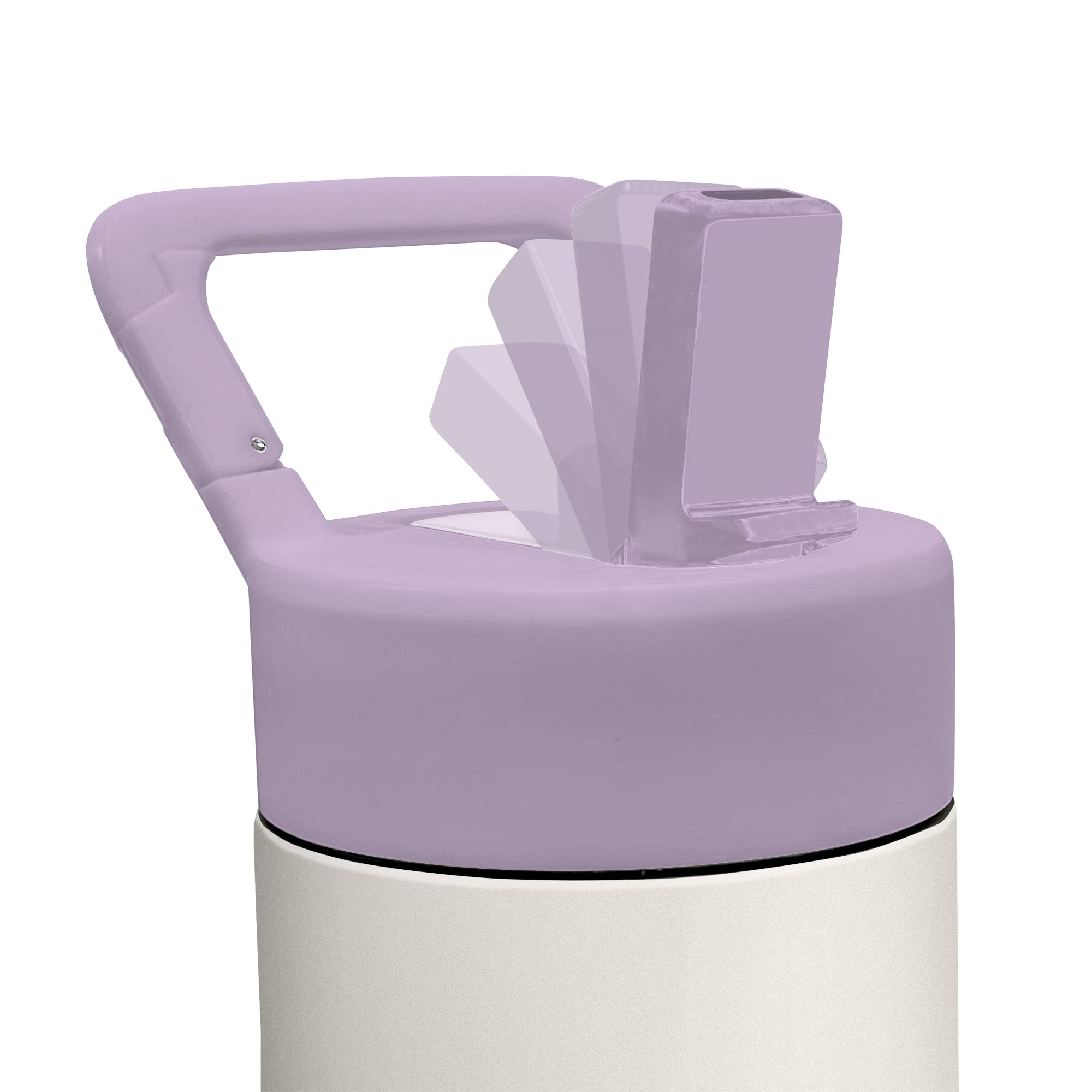 Studio Oh! Energy Flows By Bronwyn Kelly Snap-Hook Insulated Water Bottle With Straw, Double-Wall Stainless Steel Water Bottle,