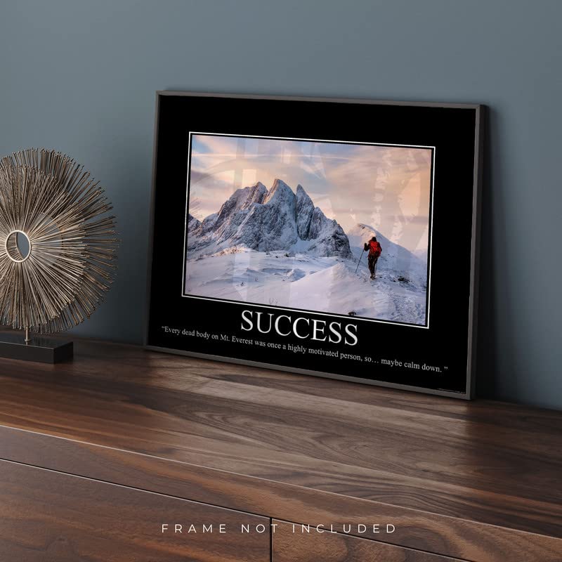 Success Demotivational Poster Snarky Ironic Funny Sarcastic Office Wall Decor Art Print 11X14 Inches Unframed