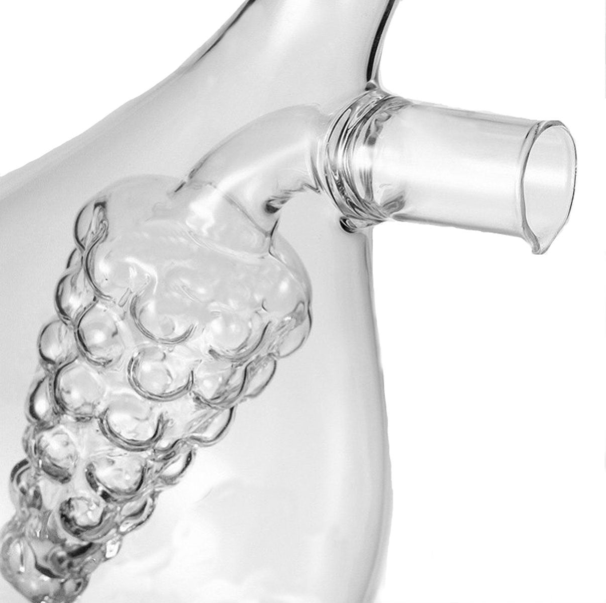 Eleton Kitchen Storage Cooking Tools Oil And Vinegar Glass Bottle, Grape Double Pourer Spout Stoppers Oil Vinegar Cruet