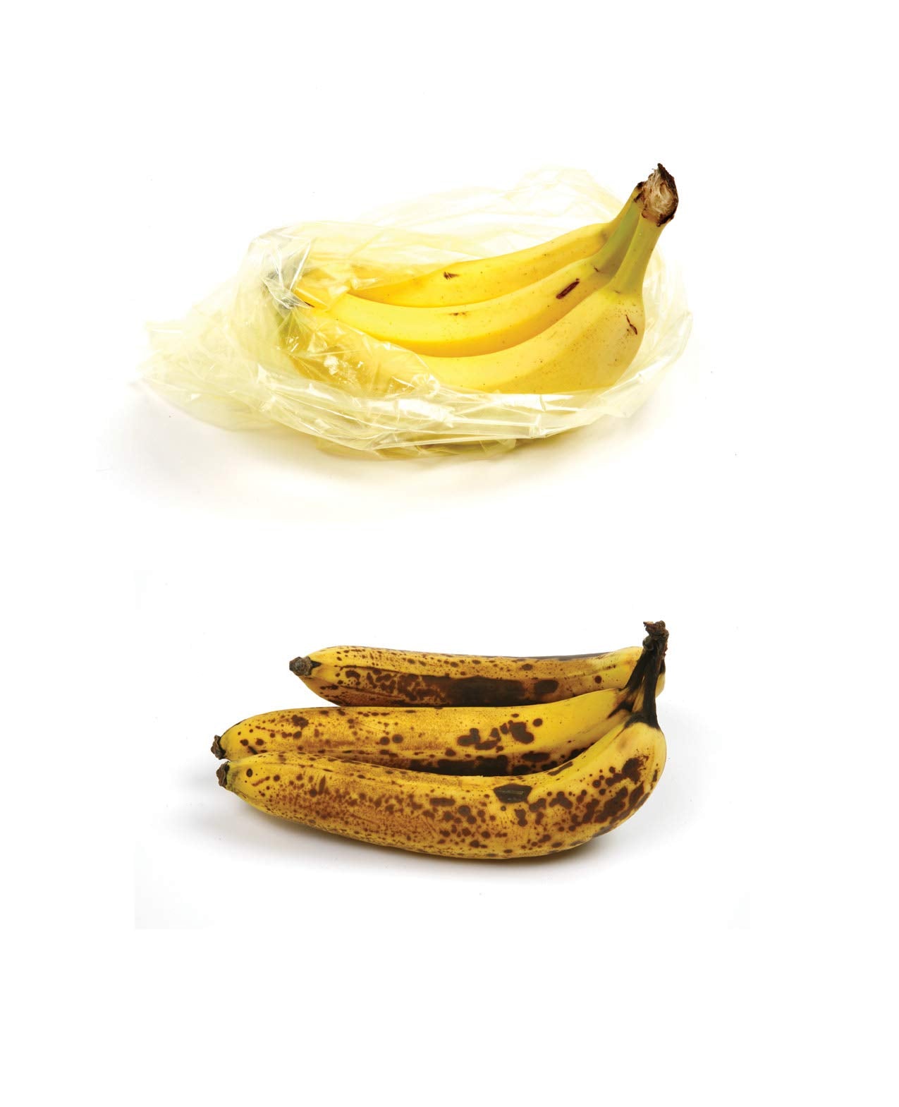 Norpro Fresh Bags, 1 Ea