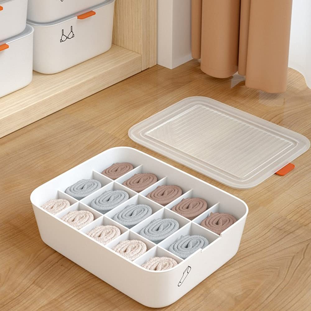 Dmdent 15 Grid Underwear Storage Box With Lid | MultiCompartment Drawer Organizer For Bra, Panty, Socks & Innerwear | Plastic W