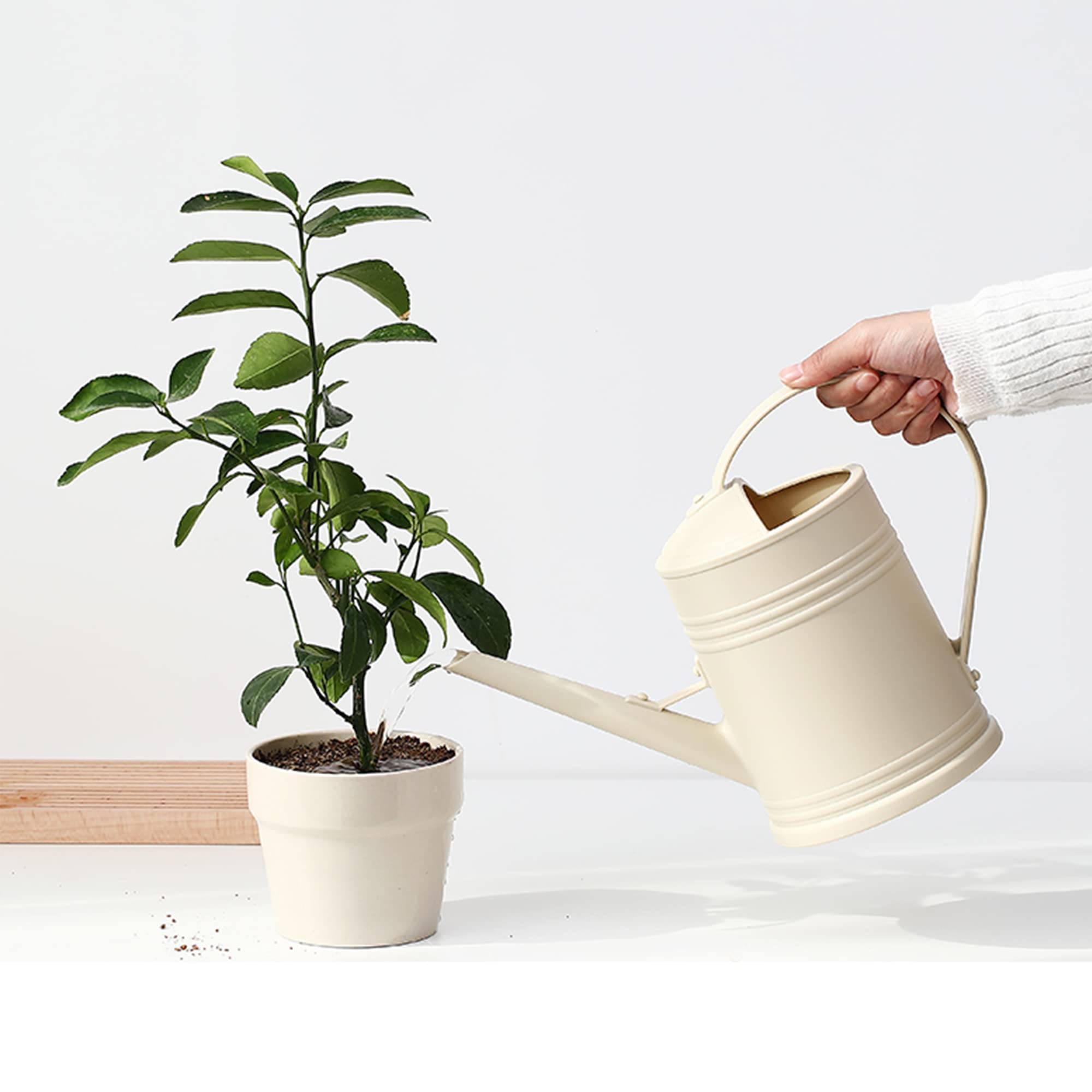 Watering Can For Indoor Plants, Flower Watering Can, Water Can For Plants, Indoor Watering Can With Sprinkler Head 68 Oz, 12 Gal