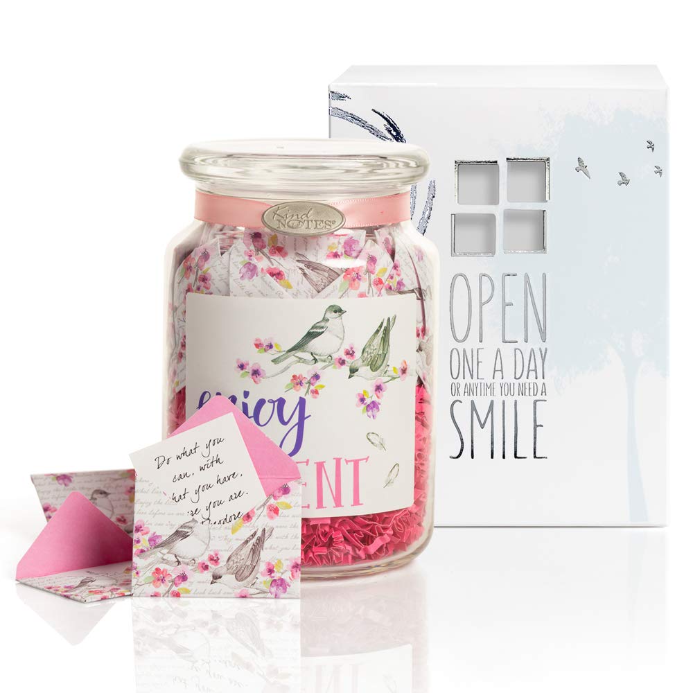 KindNotes Glass Keepsake Gift Jar with FRIENDSHIP and INSPIRATIONAL Messages - Birds and Flowers Enjoy Every Moment