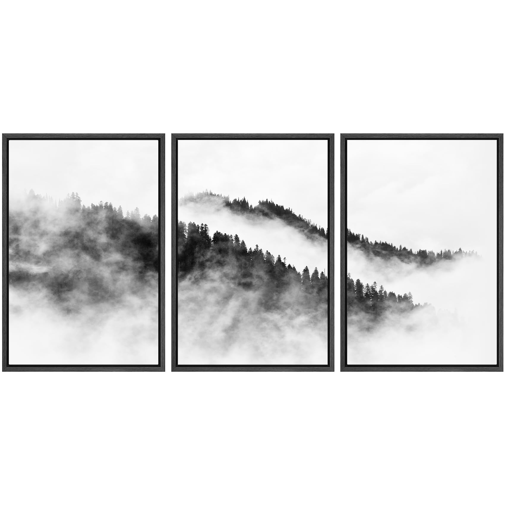 Signwin Framed Canvas Print Wall Art Set Black & White Mountain Forest Valley Nature Wilderness Photography Modern Art Rustic La