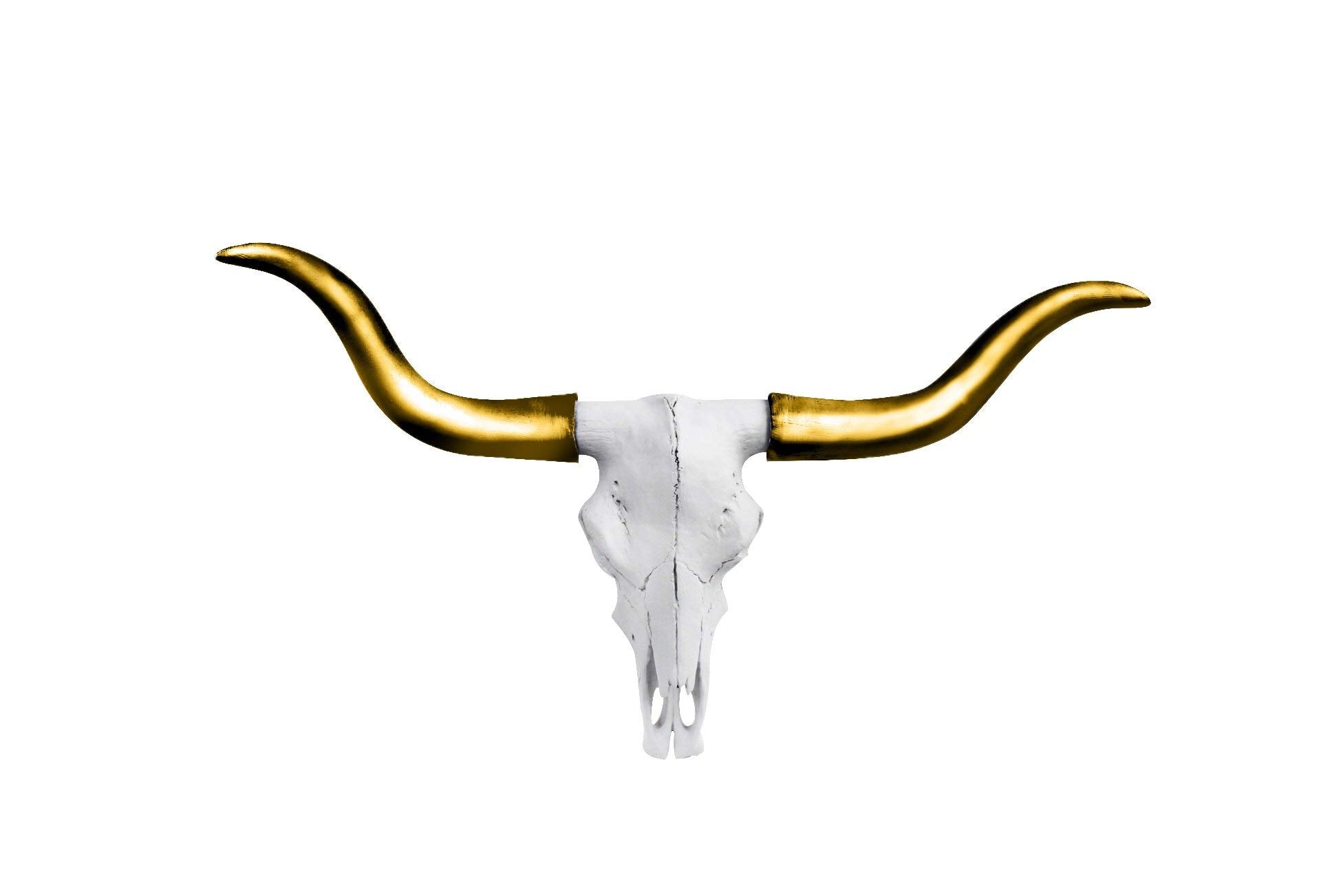 Wallcharmers Gold and White Longhorn Skull Wall Decor, Faux Taxidermy Bull Horns for Wall, Goes Well for Farmhouse Decor, Size, 