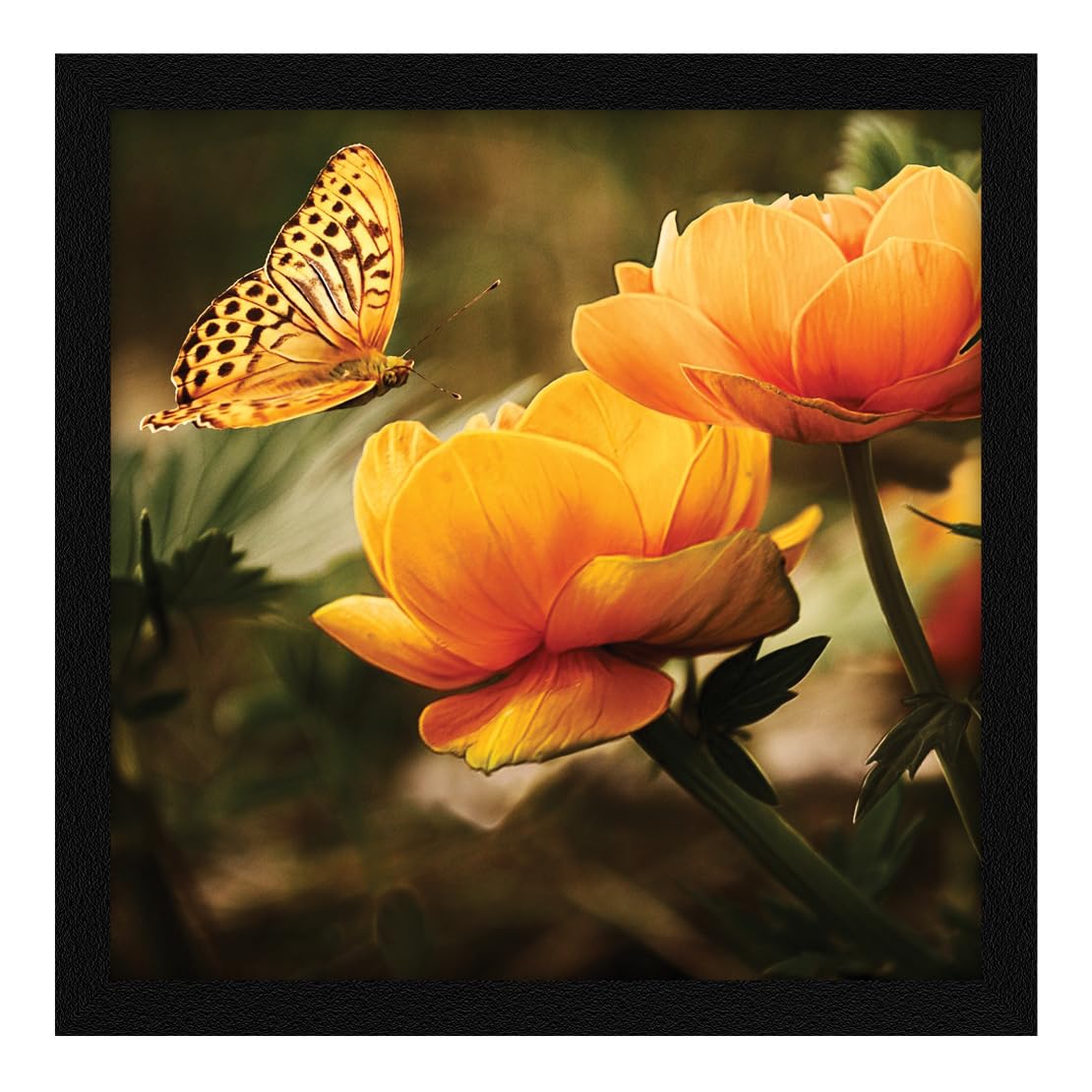 Jitesh Arts Butterflies, Birds Hummingbird And Sunflower - Oil Painting Wall Paintings With Frame Size 13 Inch X 13 Inch