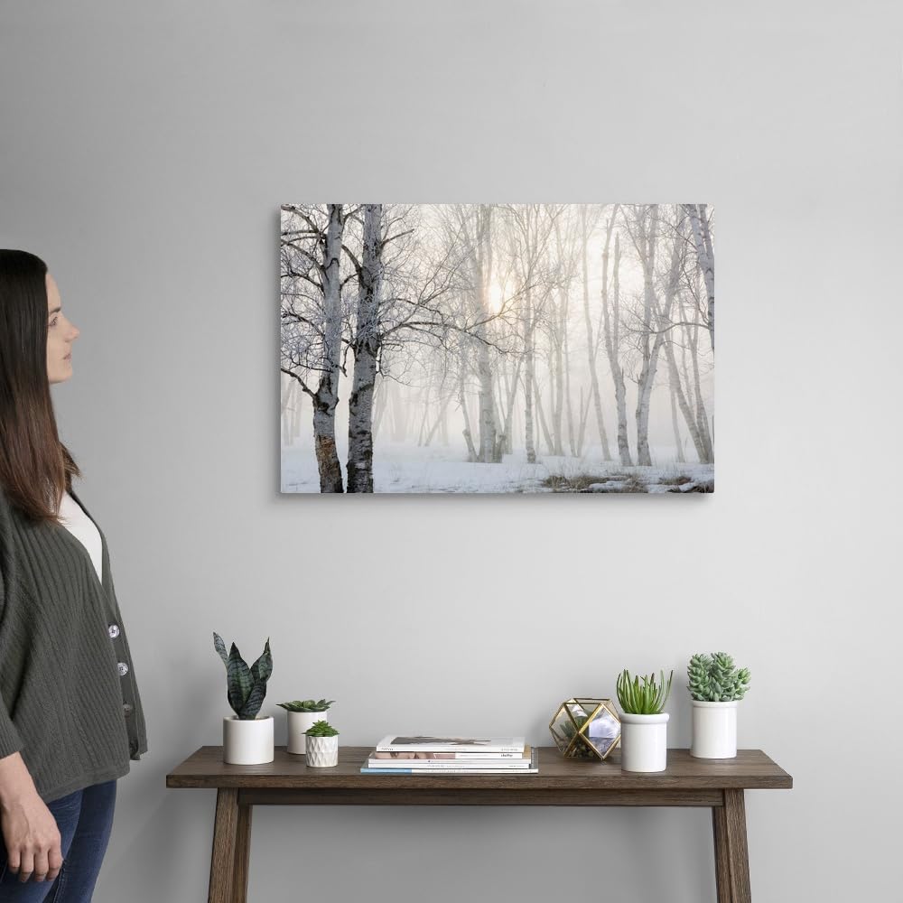 Canvas On Demand Ontario, Canada, Birch Trees In The Fog Canvas Wall Art Print By Susan Dykstra, Home Decor, Winter Artwork, 30'