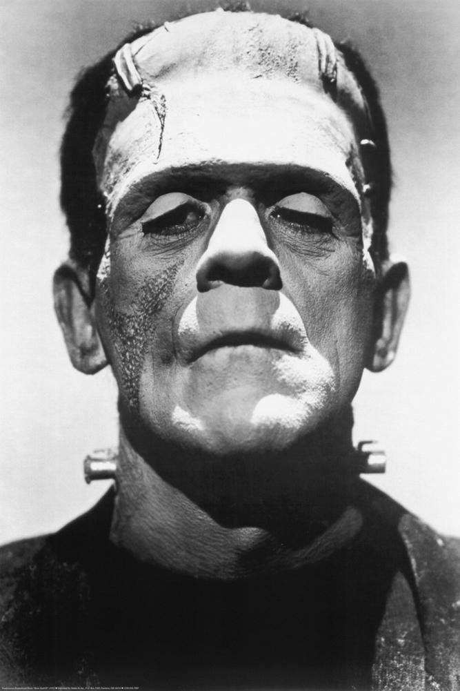 Frankenstein Movie (Boris Karloff, Close-Up) Poster Print - 24X36