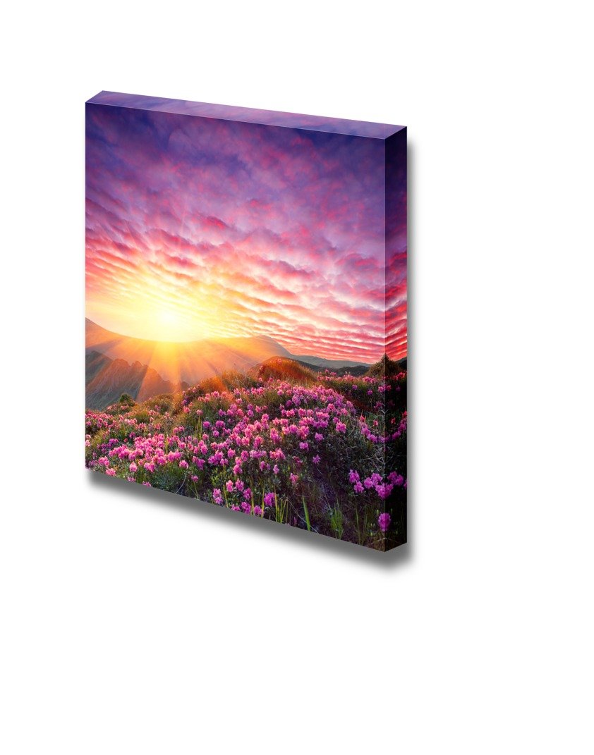 Spring Landscape In Mountains With Flower Of A Rhododendron And The Sky With Cloud - Canvas Art Wall Art - 24'' X 24''