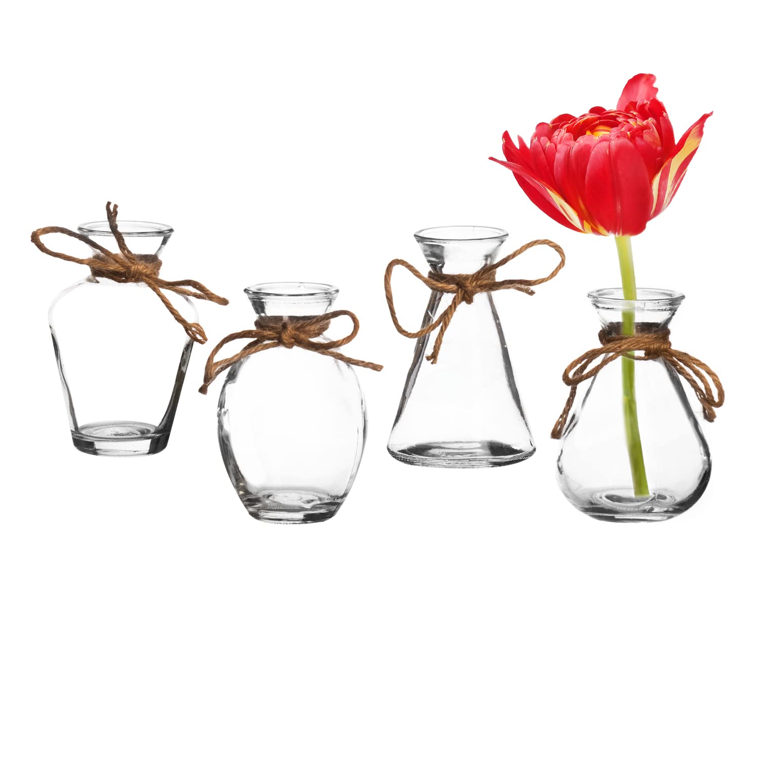 Royal Imports Clear Glass Bottle Bud Vase, Small Single Stem Flower Centerpiece, Mini Decorative Floral Jars, Rustic Farmhouse H