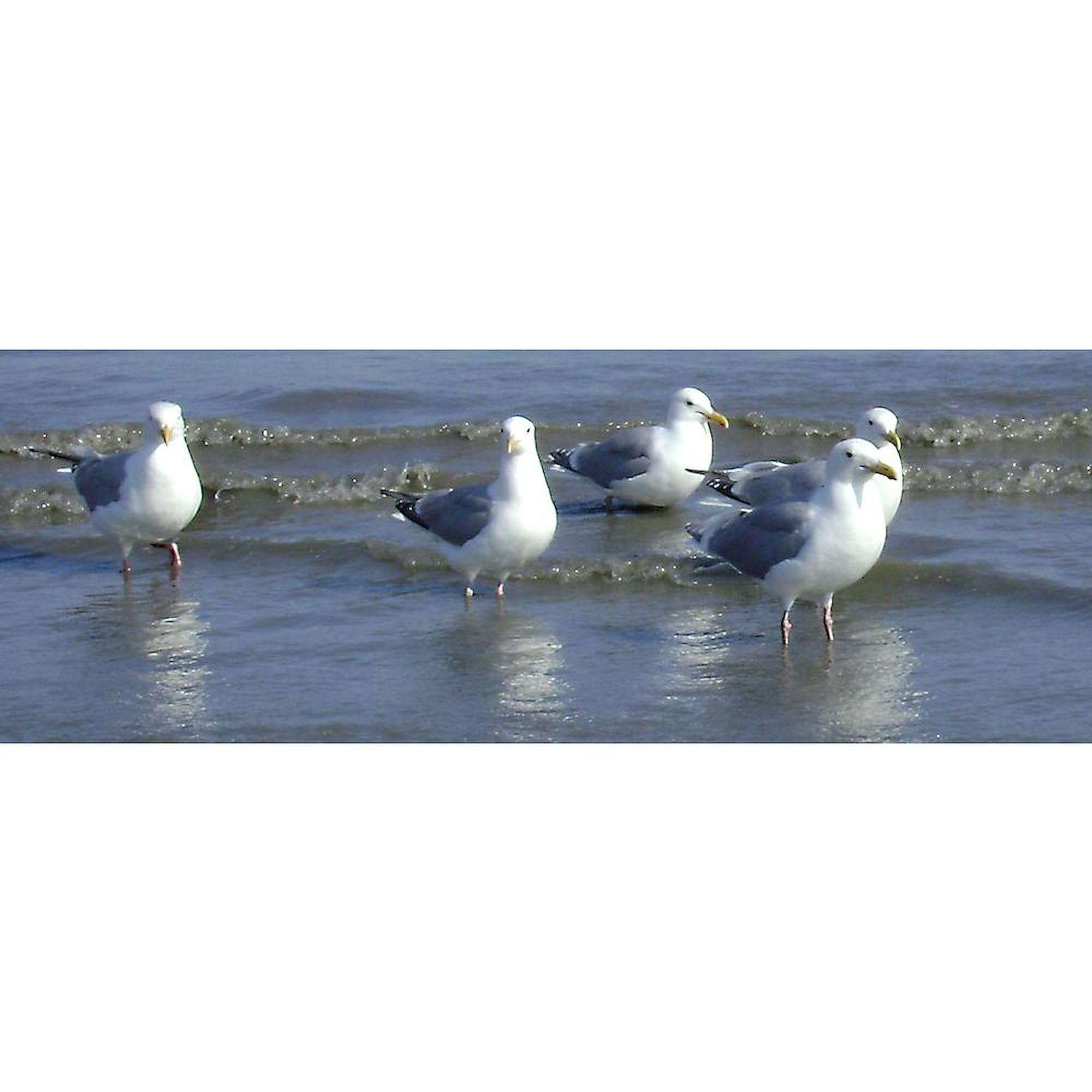 CafePress Seagull Heaven Mug 11 oz (325 ml) Ceramic Coffee Mug