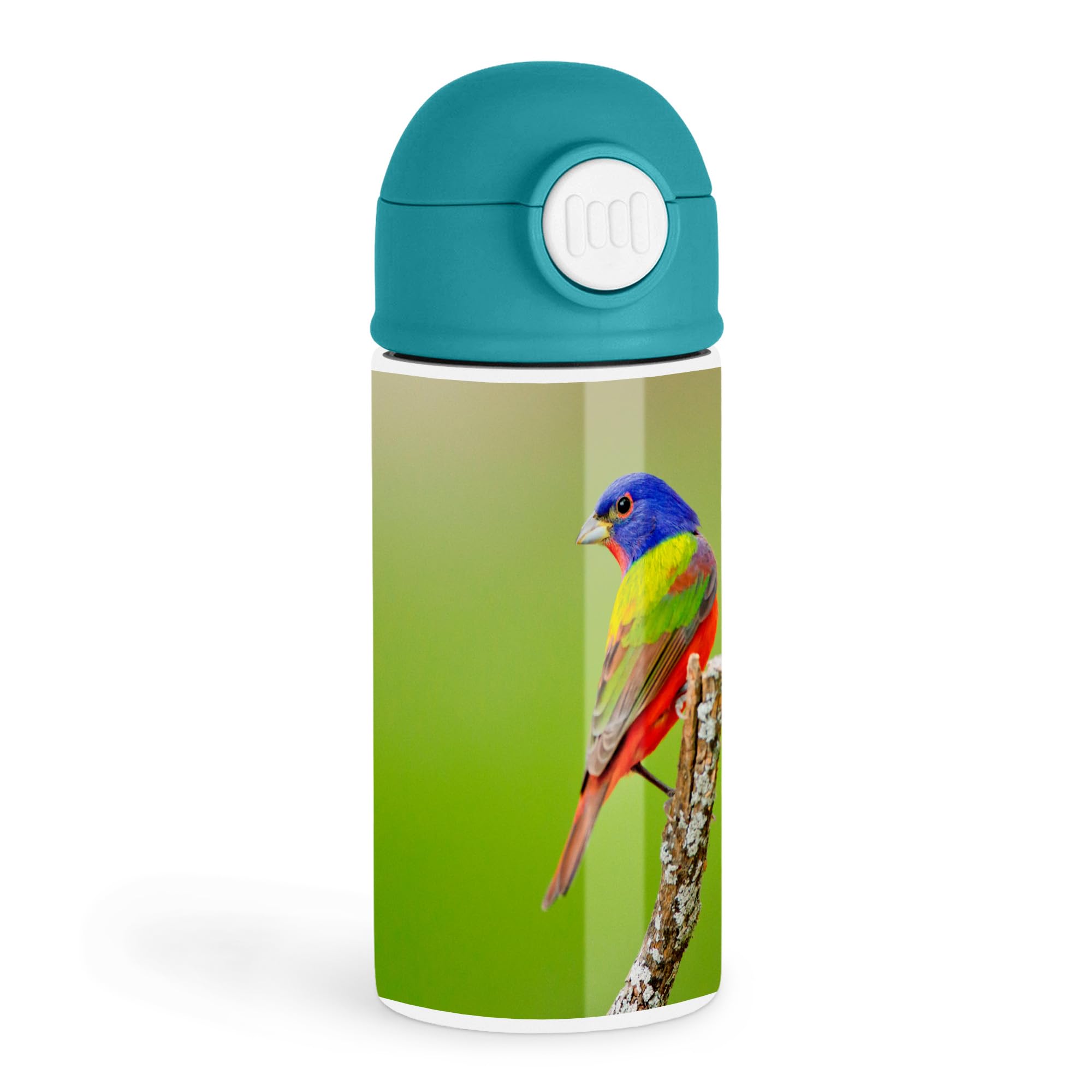 Empowering Bird Watcher 12oz Kids Green Bottle  Vibrant painted bunting perched on a branch  Outdoor Adventure, School Lunch