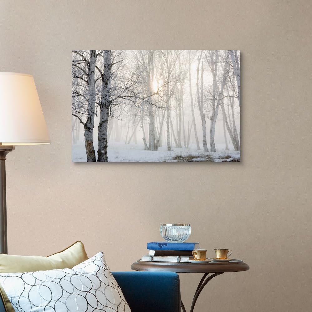 Canvas On Demand Ontario, Canada, Birch Trees In The Fog Canvas Wall Art Print By Susan Dykstra, Home Decor, Winter Artwork, 36'