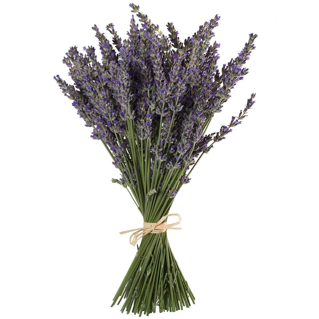 Tooget Natural Lavender Bundles, Freshly Harvested 200+ Stems Dried Lavender Bunch 16'' - 18'' Long, Decorative Flowers Bouquet