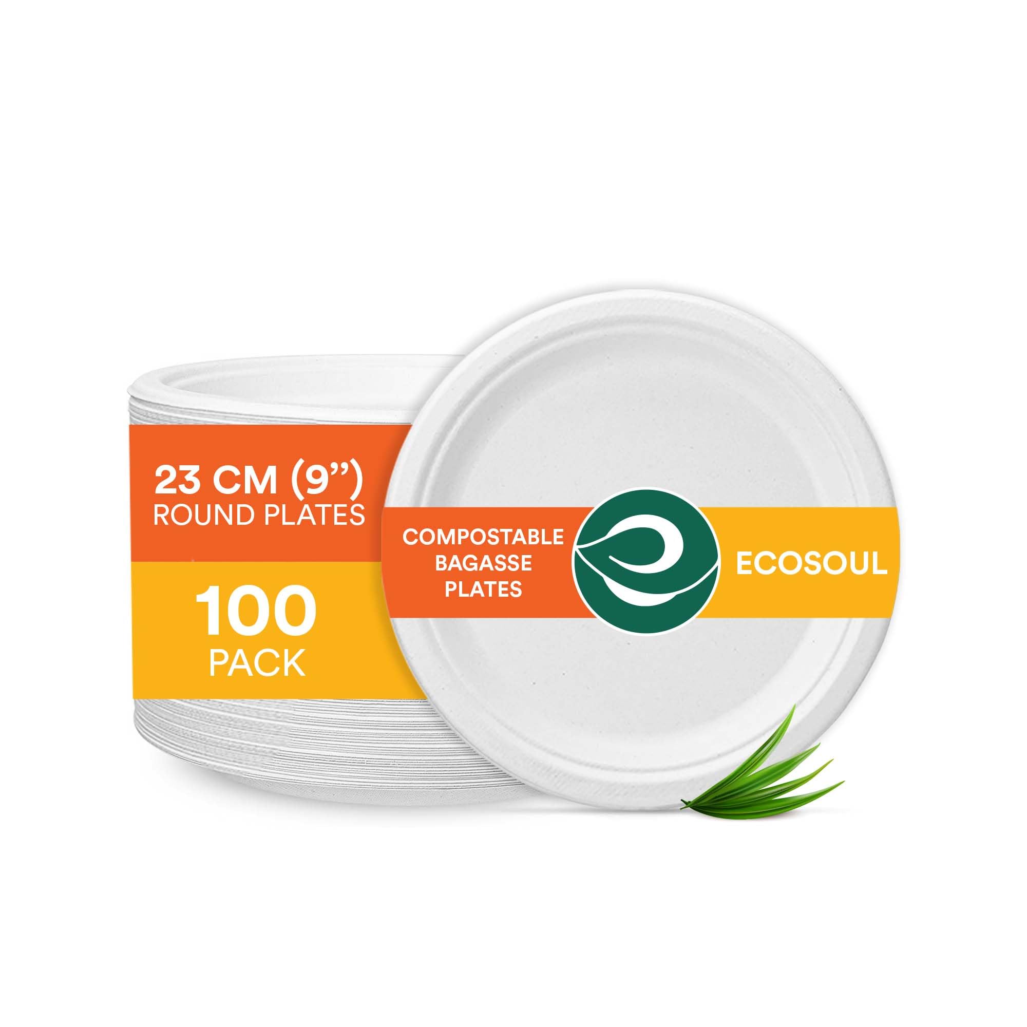 ECO SOUL [9 inch, 100 Pack Disposable Bagasse Plates | EcoFriendly, Biodegradable, Sugarcane Paper Plates | for Serving Snacks 