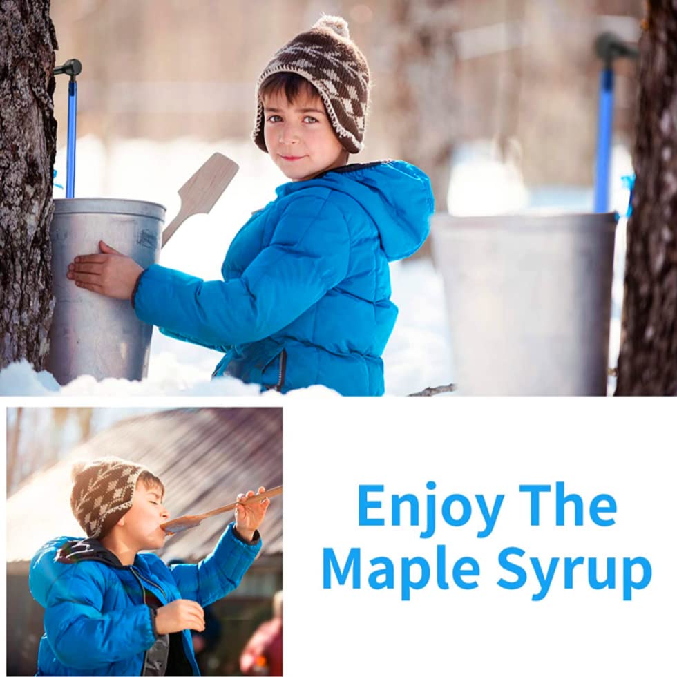Maple Syrup Tree Tapping Kit, 12 Set Maple Tree Extractor Tool Kit With 12 Taps(Spiles For Tapping Trees) And 12 23.6Inch Syrup