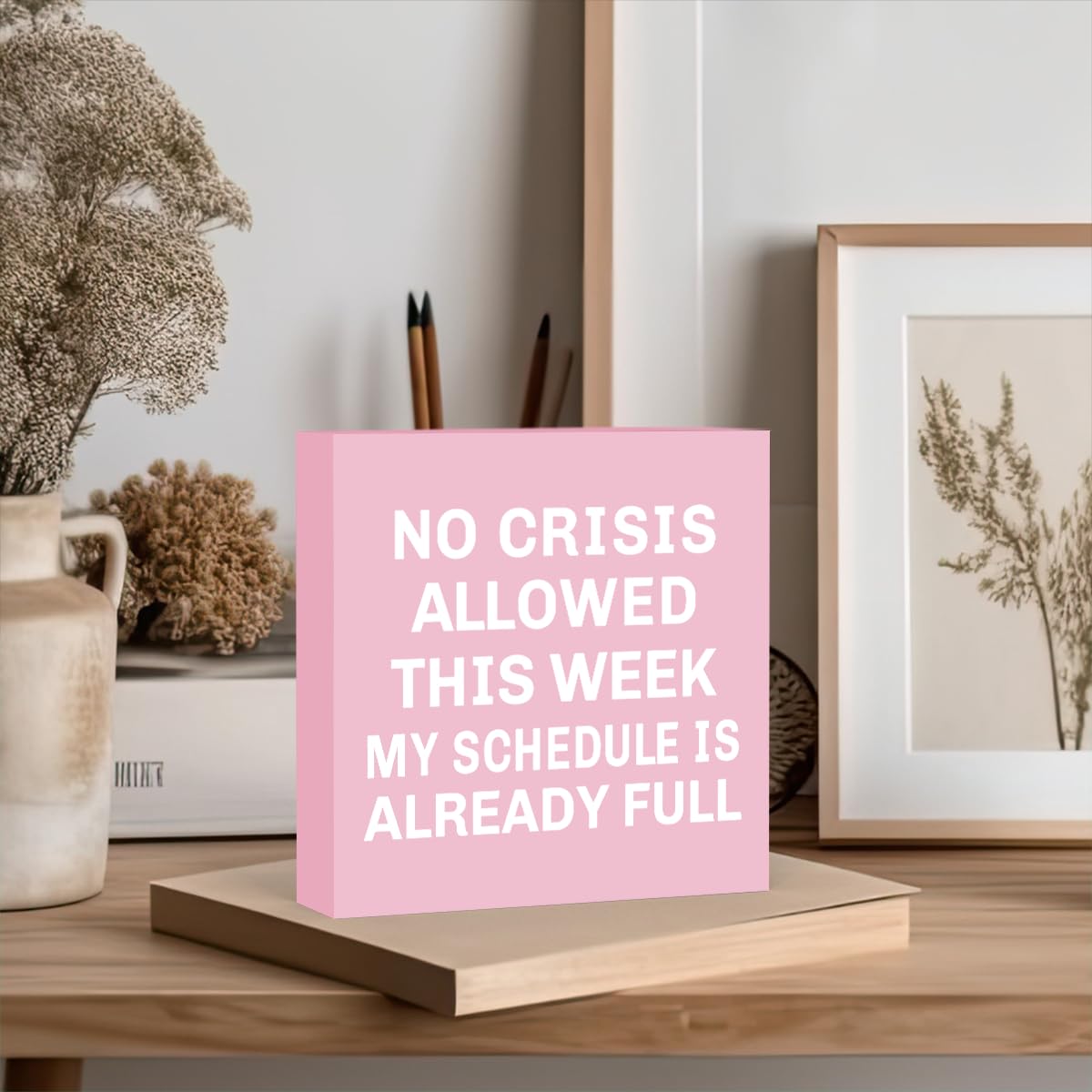Pink Boss Gifts for Women Men Boss Lady Manager Coworker Funny Home Office Desk Decor No Crisis Allowed This Week Sign 5 X 5 Inc