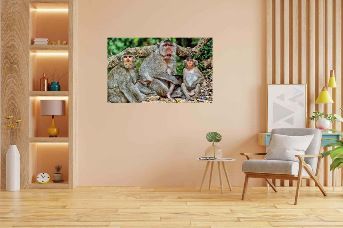 Baldau Prints Monkey Langur Photo Big Size Flex Wall Poster For Room (Gloss Finish, 24X36 Inch, 210 Gsm) F-328