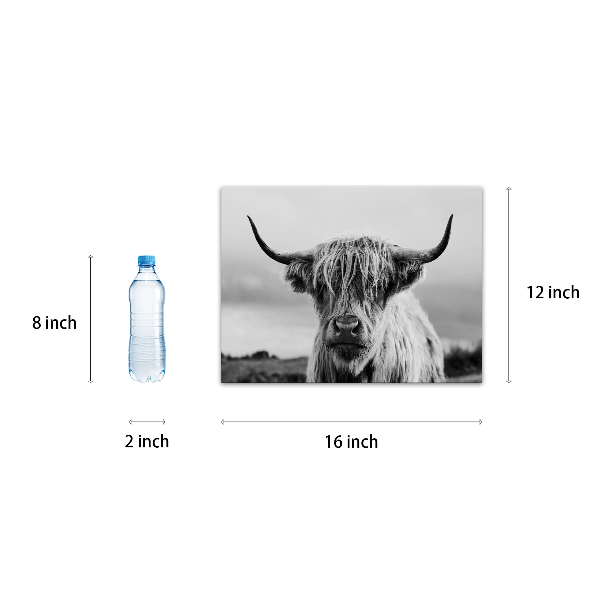 Highland Cow Wall Art Canvas Print Black And White Animal Canvas Picture Framed Art Wall Decor For Bedroom Bathroom (12X16 Inch)