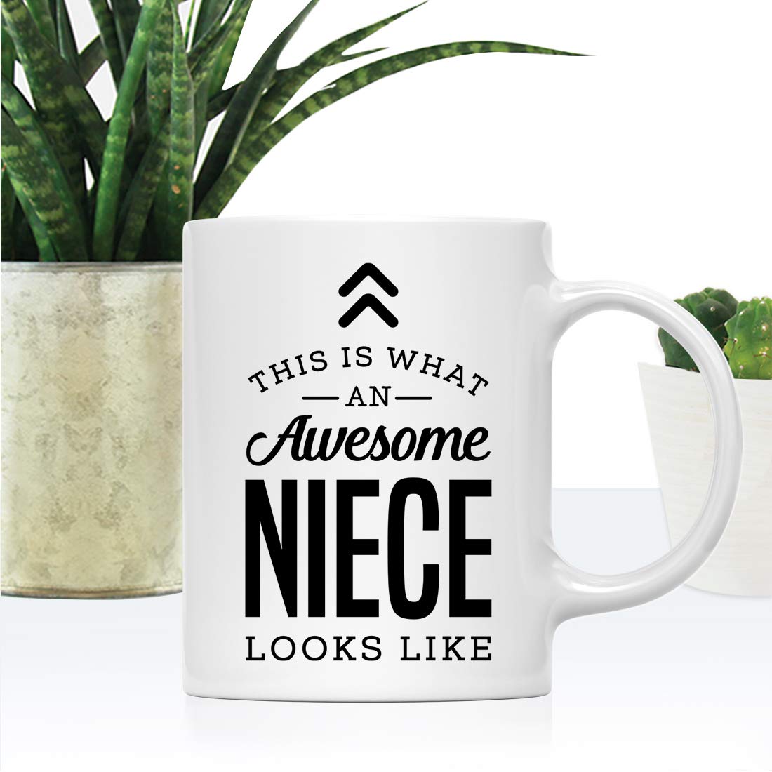 Andaz Press 11oz. Ceramic Coffee Tea Mug Gift, This is What an Awesome Niece Looks Like, 1-Pack, Birthday Gift Ideas Coworker Hi