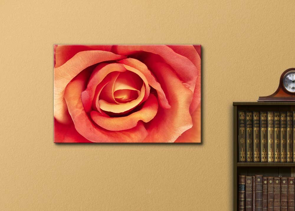 Canvas Prints Wall Art - Artficial Rose, Floral Background - 24'' X 36''