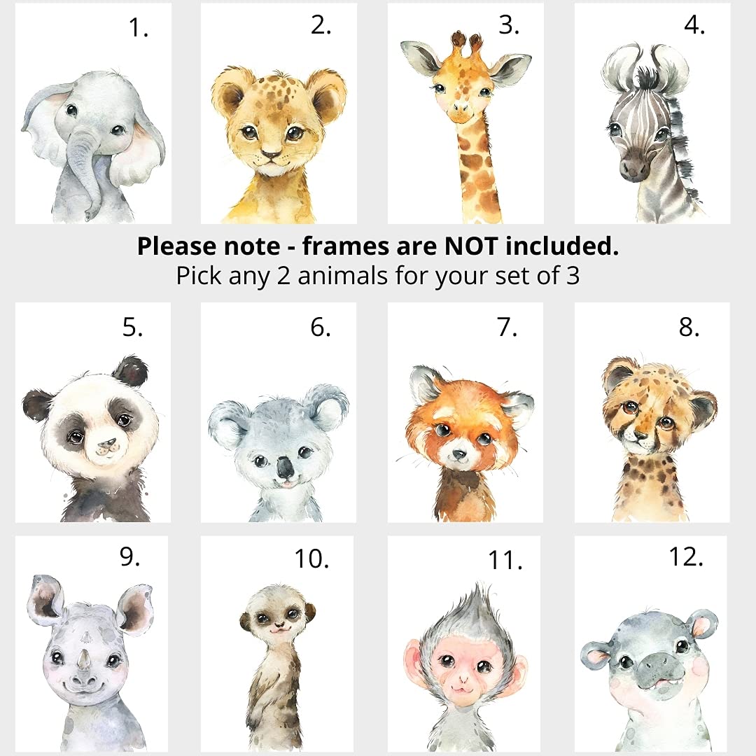 Personalized Safari Animals for Boy Girl Nursery  Set of 3 Unframed Bedroom Poster Prints  Personalized Name Blue Green Yellow  Giraffe Elephant Lion Panda (12x16)