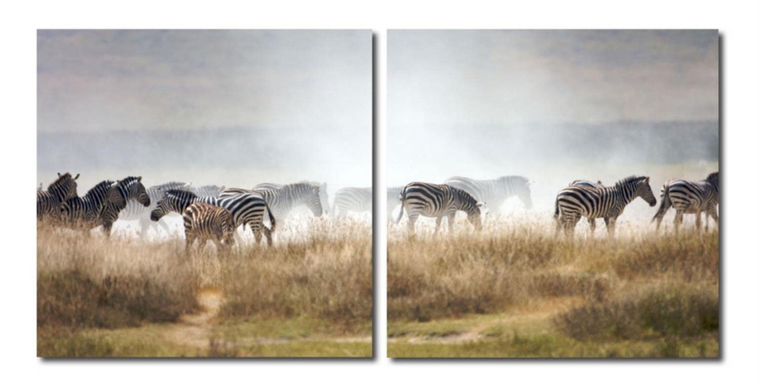 Baxton Studio VC-2056AB Painting Artwork, 19.68 x 19.68 x 1, A Zeal of Zebras