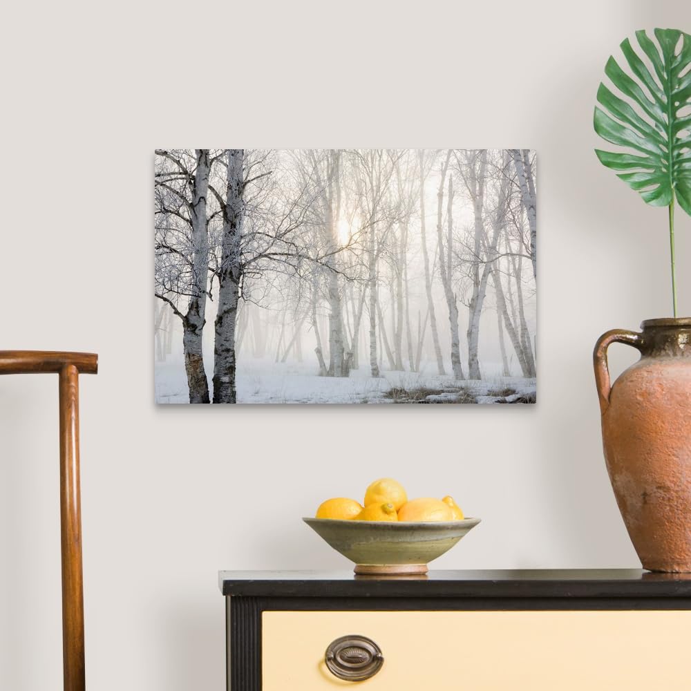 Canvas On Demand Ontario, Canada, Birch Trees In The Fog Canvas Wall Art Print By Susan Dykstra, Home Decor, Winter Artwork, 24'