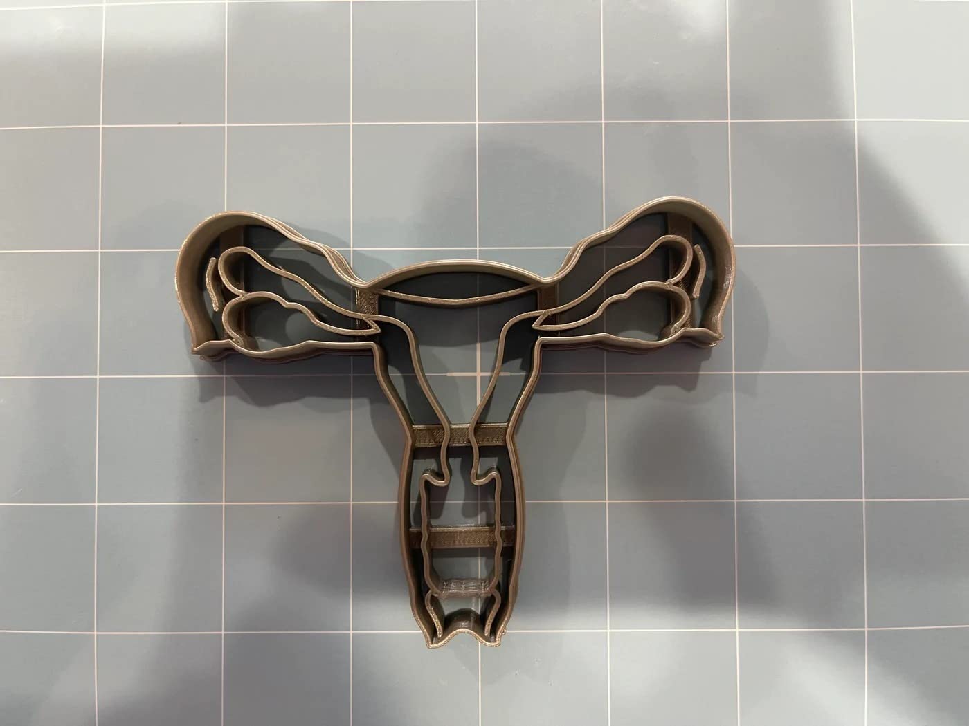 Female Anatomy Cookie Cutter