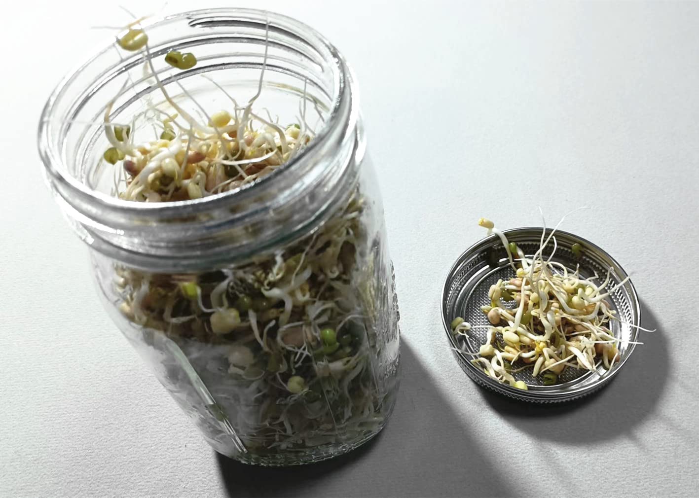 MIA GENOVIA Mesh Sprouting Lids - 316 Stainless Steel Wide Mouth Mason Jar Strainer - 4 Pack, 3.4" Size