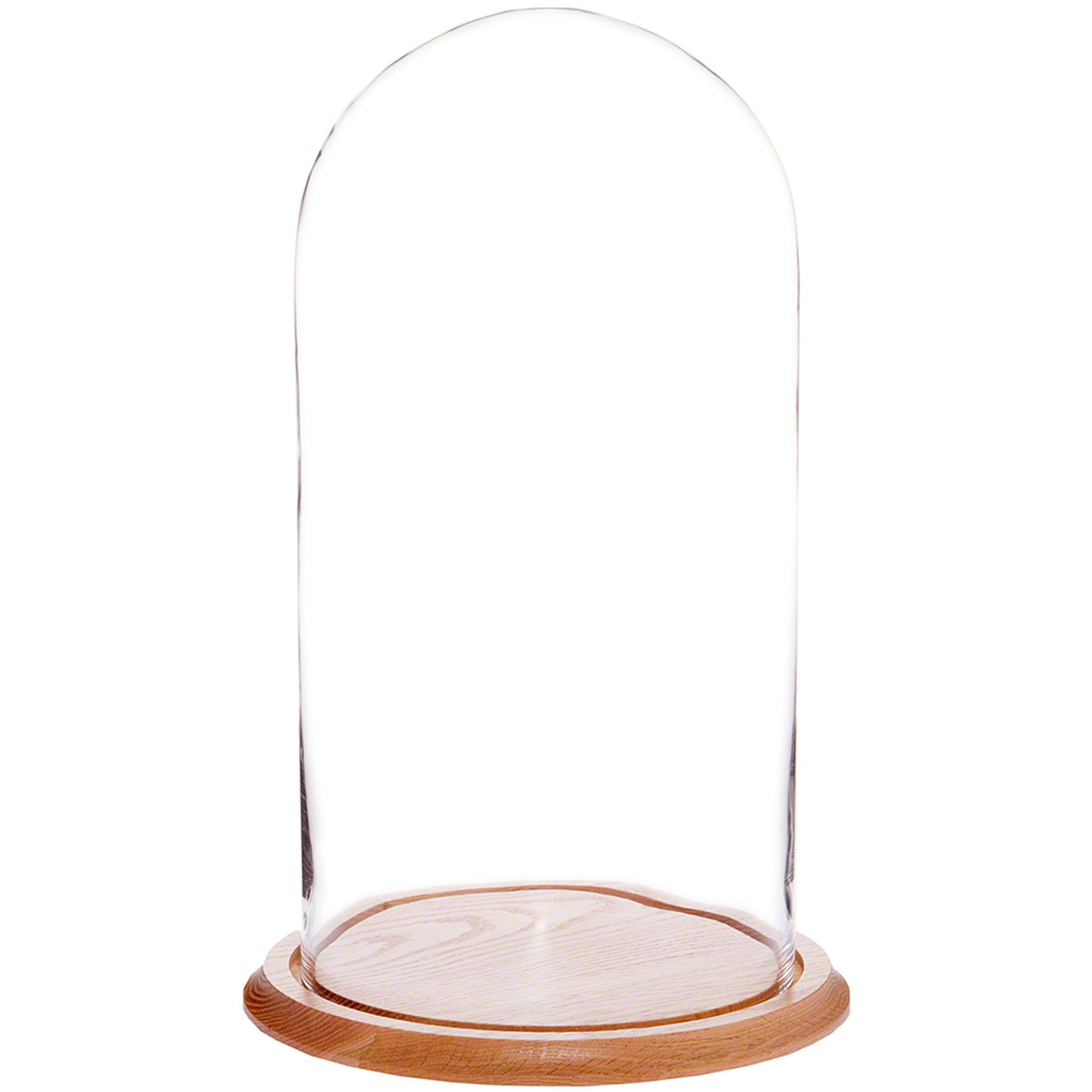 Plymor 9.75 x 20 Glass Display Dome Cloche (Oak Wood Base)