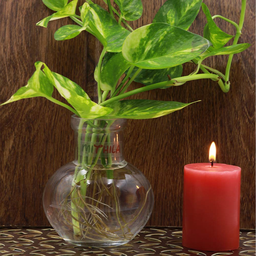 Mithila Handicrafts 4.7 Inch Ball Shaped Round Glass Vase | For Money Plant | Lucky Bamboo Plant | Elegant Vase | Flower Pot | 1