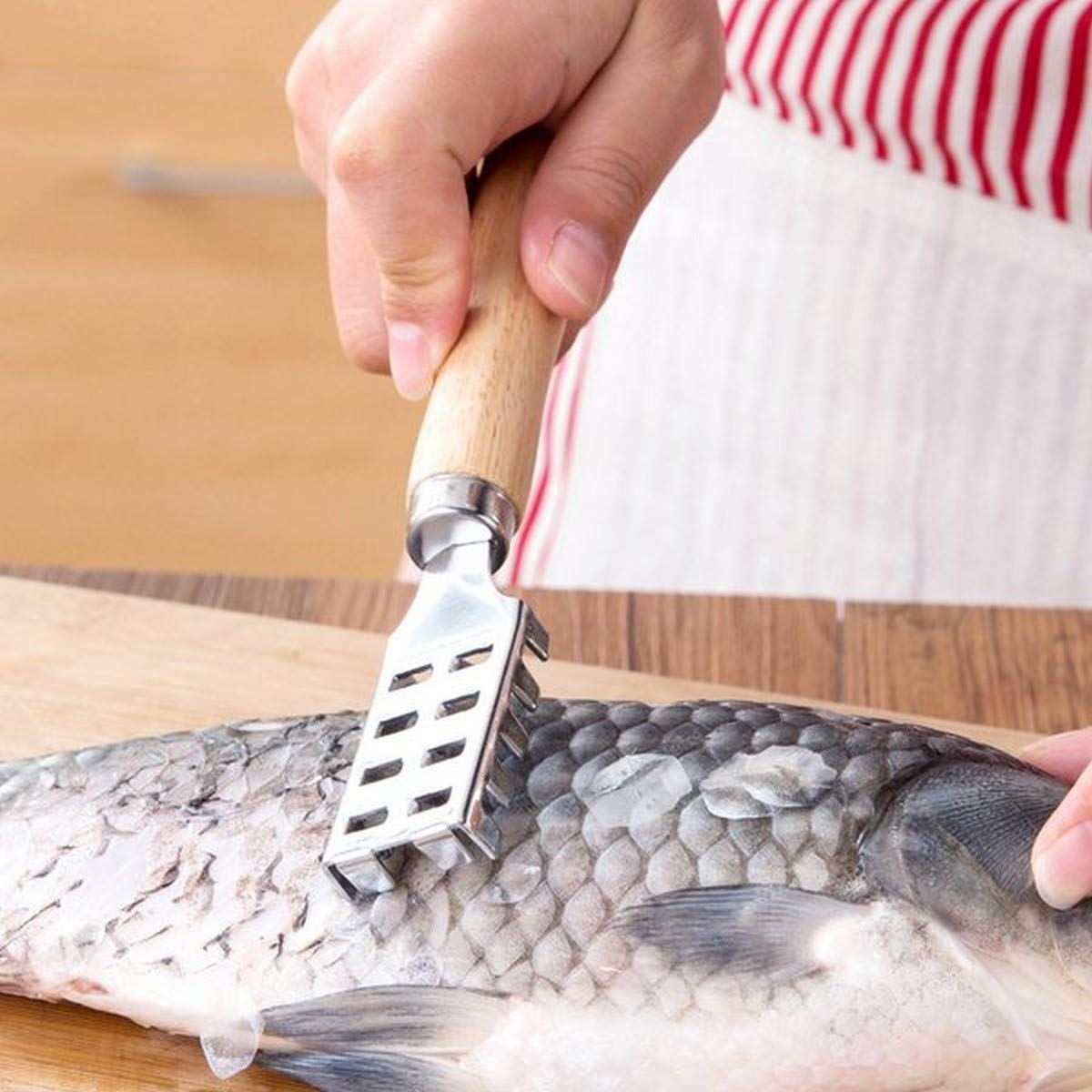 Japanbargain 1885, Fish Scaler Scale Remover Tool Seafood Fishing Cleaning Tool