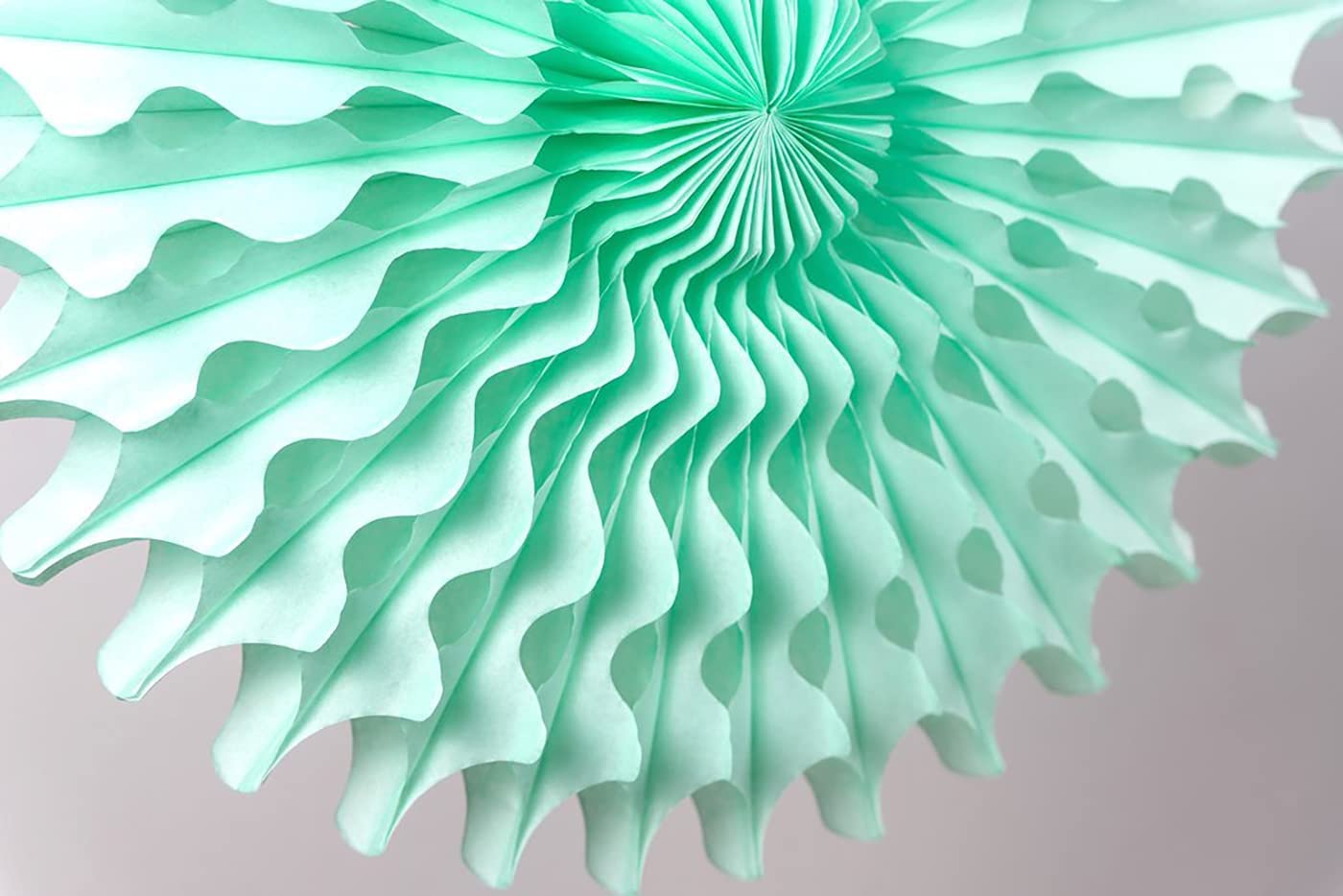 Boho Rainbow Party Decorations/Mint Peach Birthday Party Decorations/Mint Peach Baby Shower Decorations/7Pcs Tissue Paper Fan Fl