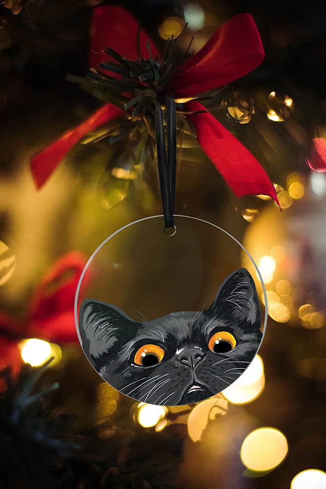 WIRESTER Hanging Ornaments for Christmas Tree Holidays, Party, Car, Home, Office Decoration, Large 3 inch Acrylic Ready to Hang