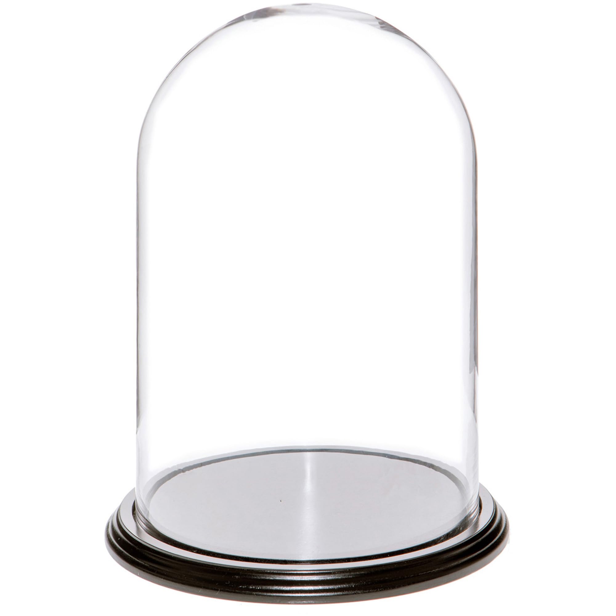 Plymor 8 x 12 Glass Display Dome Cloche (Black Wood Veneer Base)