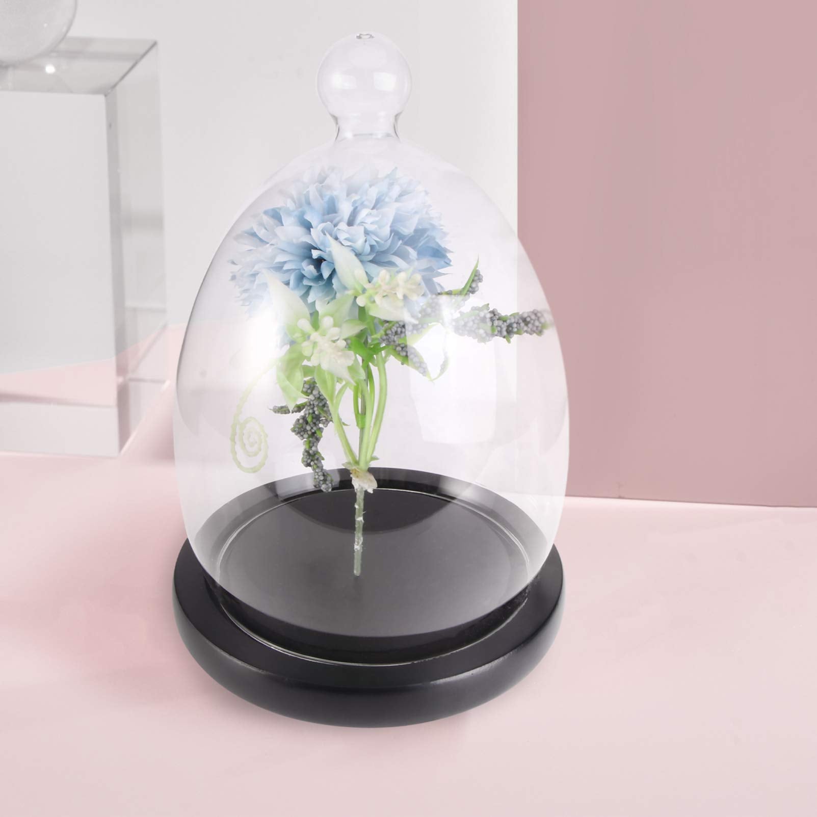 Display Dome Cloche 1 Set of Glass Dome Dessert Cover Display Cover Glass Display Cloche Dome with Black Base Preserved Flower C