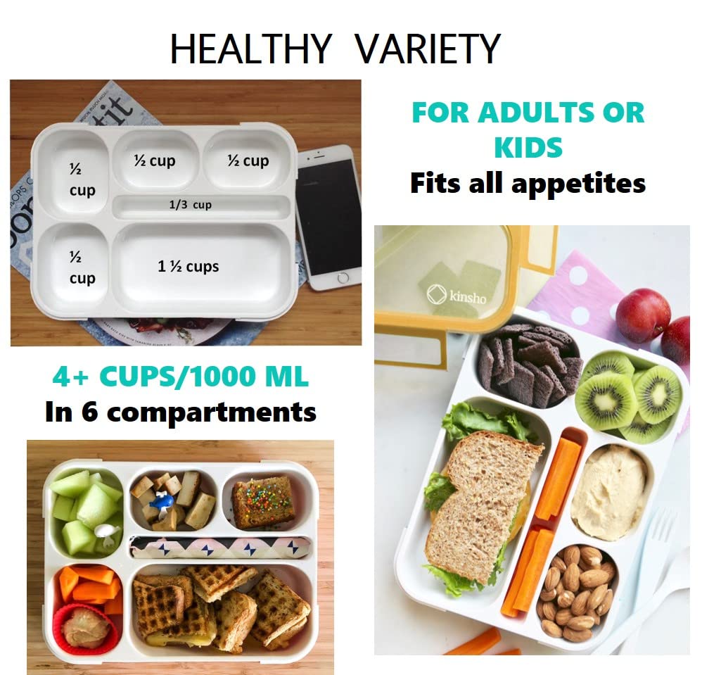 6 Compartment Lunch Boxes. Bento Box Lunchbox Snack Containers For Kids, Boys Girls Adults. School Daycare Meal Planning Portion