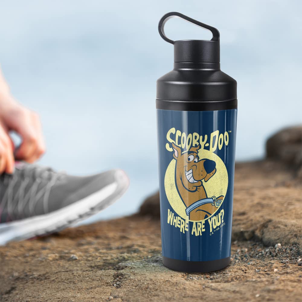 Scooby Doo! Official Where Are You 18 Oz Insulated Water Bottle, Leak Resistant, Vacuum Insulated Stainless Steel With 2-In-1 Lo