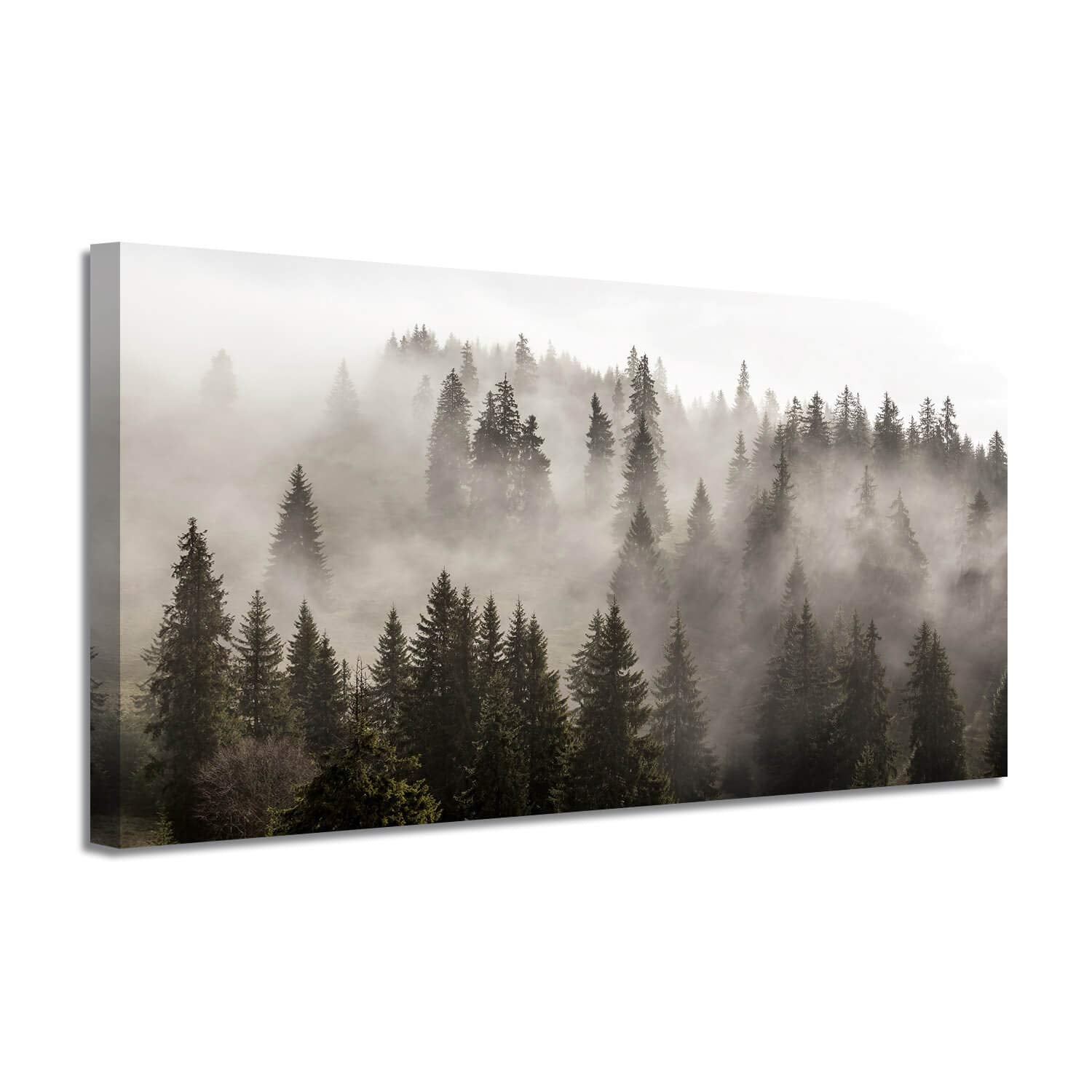 Artistic Path Forest Picture Canvas Wall Art: Foggy Landscape Artwork Photographic Print For Living Room (48''W X 24''H,Multi-Si