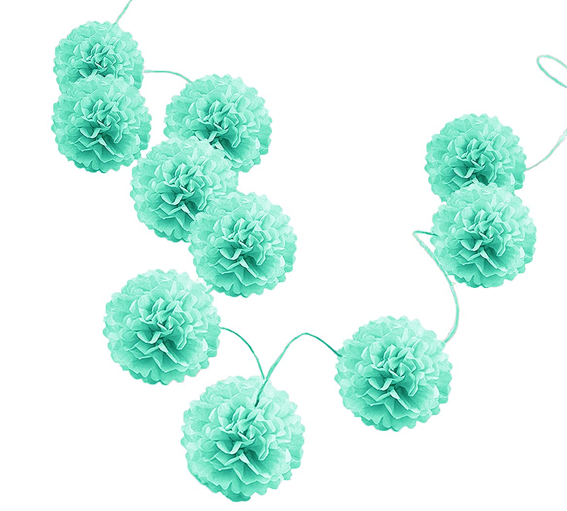 Pack Of 10 Tissue Paper Flower Ball Pom Pom Party Decoration Indoor Outdoor 6'' 8'' 10'' 12'' 14'' (Mint Green, 8'')