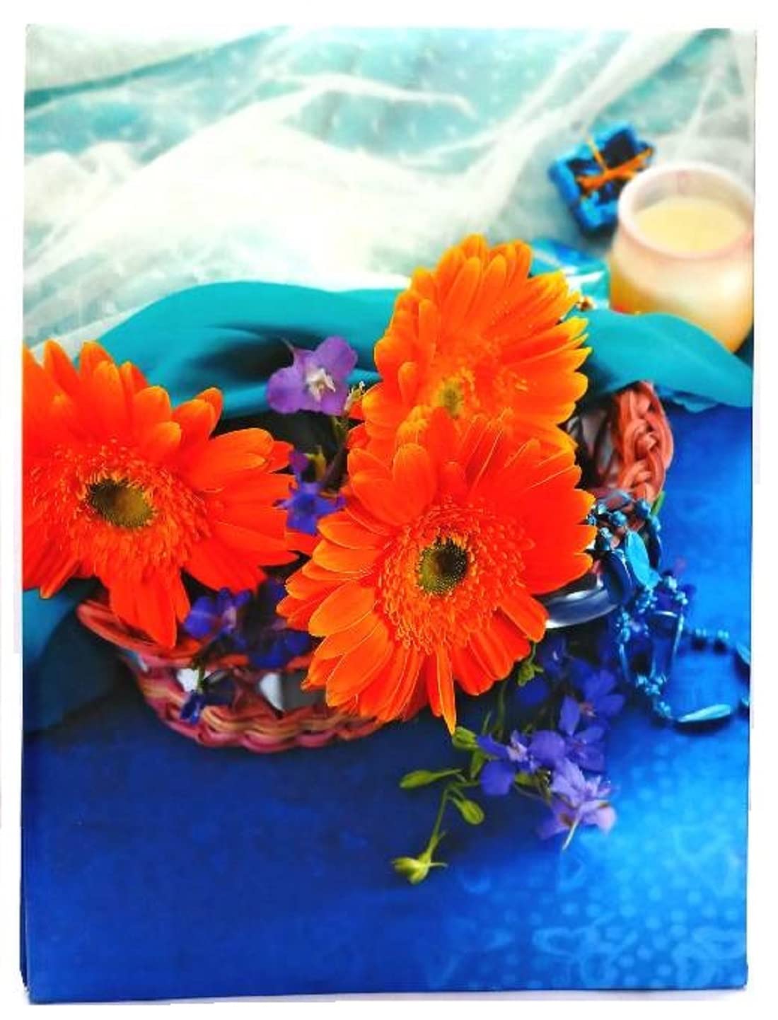 CSN - CUTE SHOPPING NETWORK Natraj Series Photo Album with Extra Clear PVC Film 200 Photos, (Photo Size Supported: 4x6 Inches, M