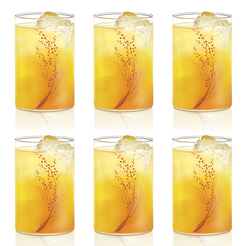 Borosil Vision 6Pc Transparent Drinking Glass | Borosilicate Glass Tumblers For Water, Cold Drinks, Juice | Flame Proof, Microwa
