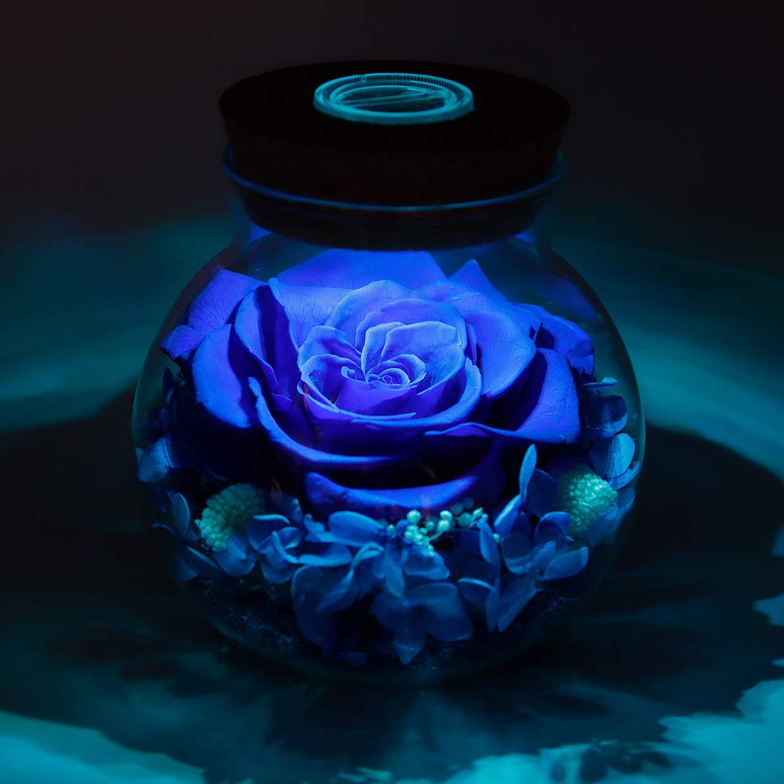 roliys Preserved Real Roses with Colorful Mood Light Wishing Bottle, Eternal Rose,Never Withered Flowers, Table Decor,Christmas