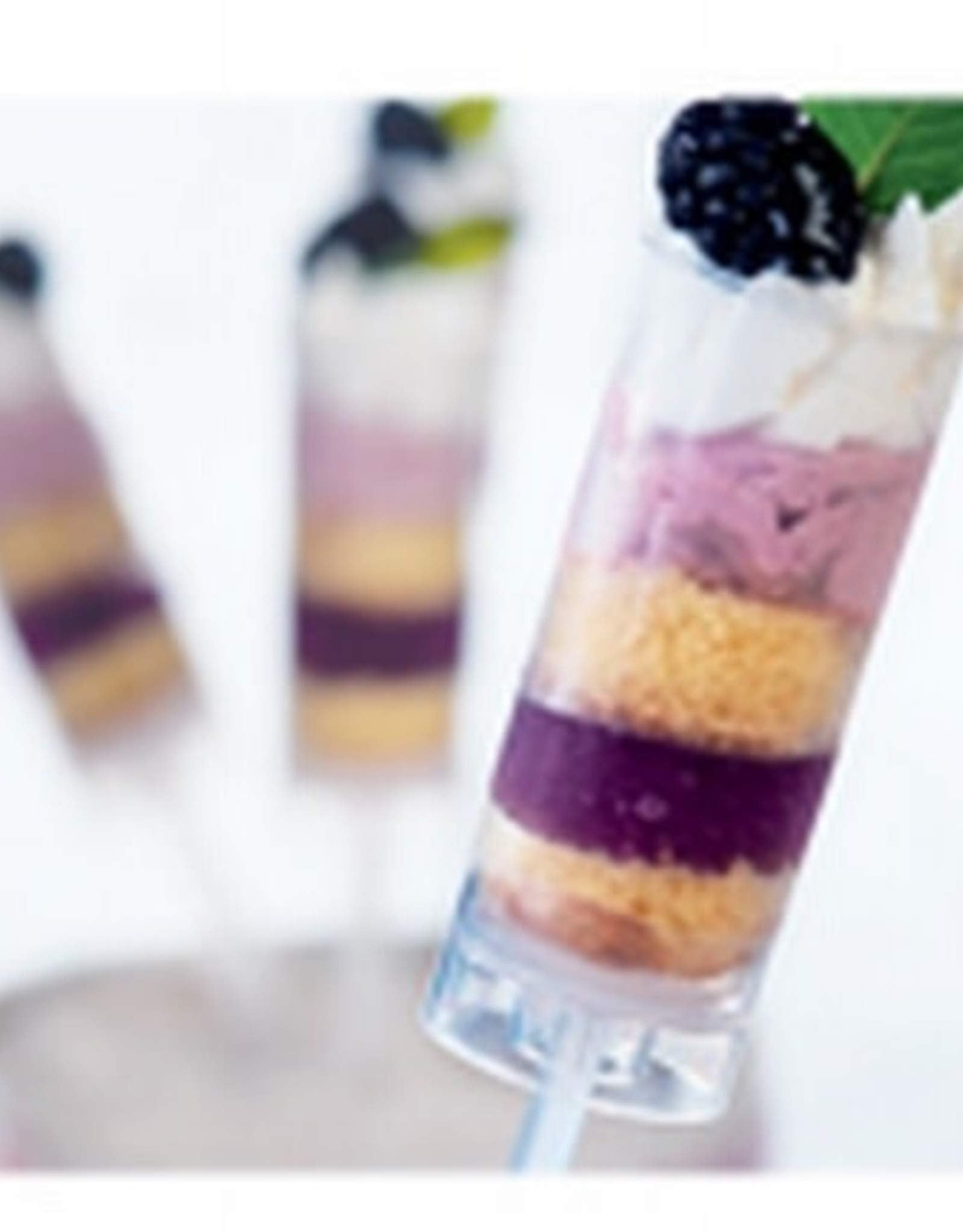 Mini Push-Up Cake Pop Shooter (Push Pops) Plastic Containers - 100 Count