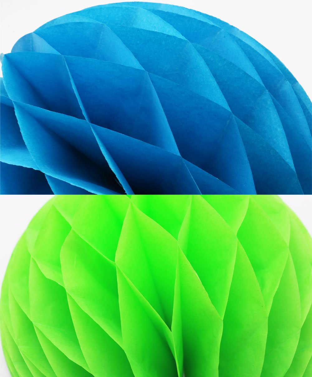 Mamunu 10 Pcs 5 Colors 10 Inch, 6 Inch Honeycomb Tissue Paper Flower Balls, Tissue Paper Pom-Poms Flowers Craft Kit For Wedding